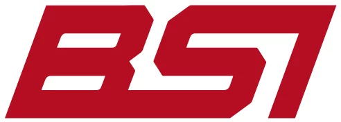 BSI Logo